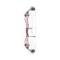 Bowtech Reckoning 39 Gen-2 Compound Bow