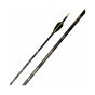 Shocq Inceptor X Carbon Arrows