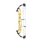 Hoyt Invicta 37 DCX Compound Bow