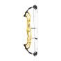 Hoyt Invicta 37 DCX Compound Bow