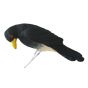 Wildcrete 3D Target - Oxpecker Red/Yellow