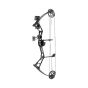 Bear Pathfinder Compound Bow