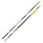 Cross-X Pegasus Octagon Arrows