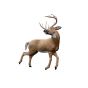 Rinehart 3D Target - Kicking Deer