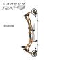 Hoyt Carbon RX-9 Compound Bow
