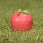 Wildcrete 3D Target - Apple