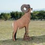 Wildcrete 3D Target - Big Horn Sheep