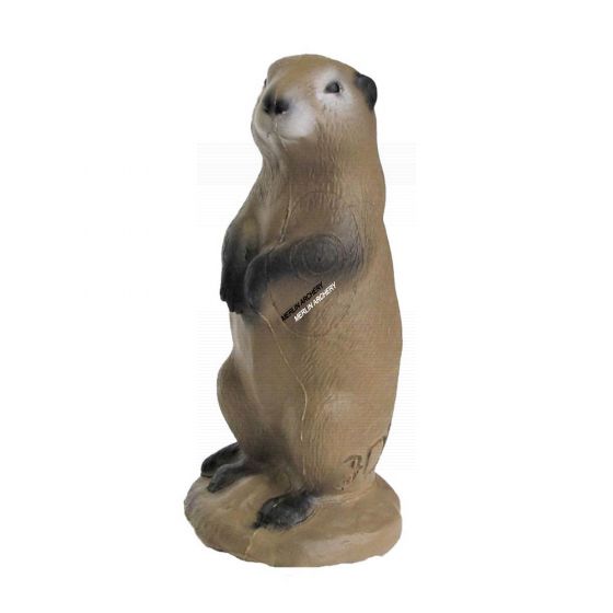 3Di Prairie Dog