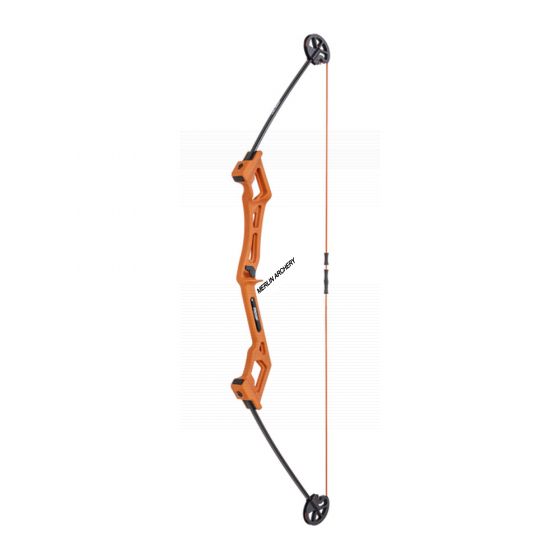 Bear Archery Valiant Bow Set 