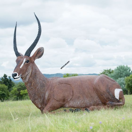 Wildcrete 3D Target - Waterbuck