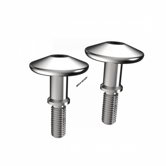 Mybo Solid Stainless Steel Tiller Bolts