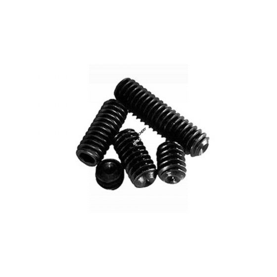 Doinker Weight System Screws