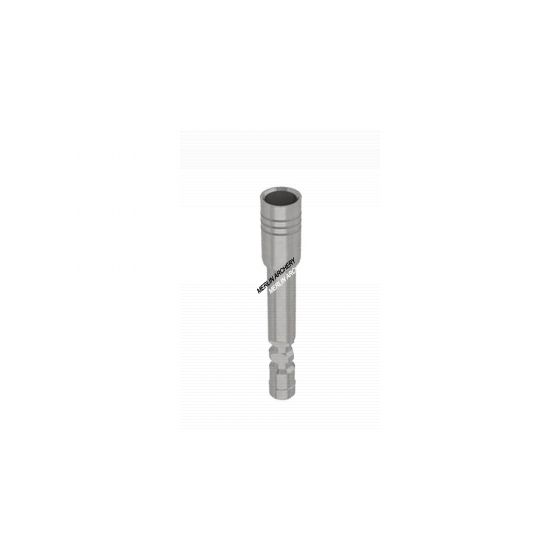 Gold Tip Stainless Insert .204
