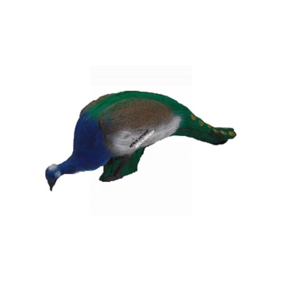Imago 3D Peacock