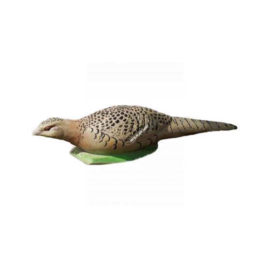 Natur Foam 3D Target - Pheasent Hen