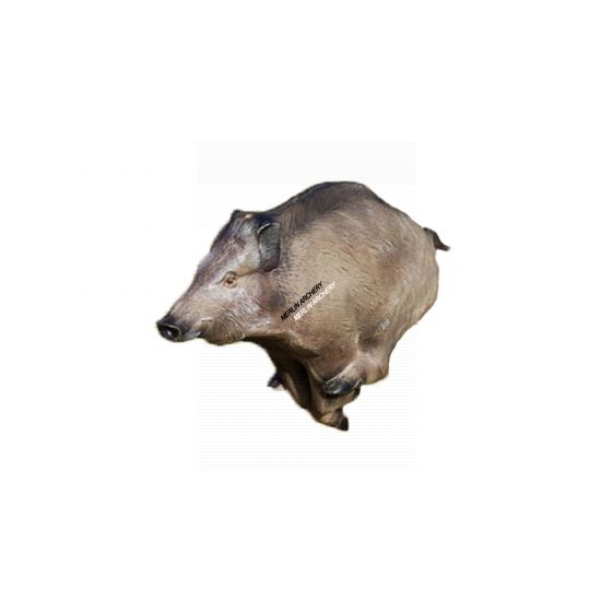 Natur Foam 3D Target - Wild Boar Running