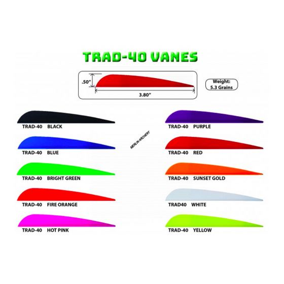 AAE Arizona Trad-40 Vanes - 3.8"