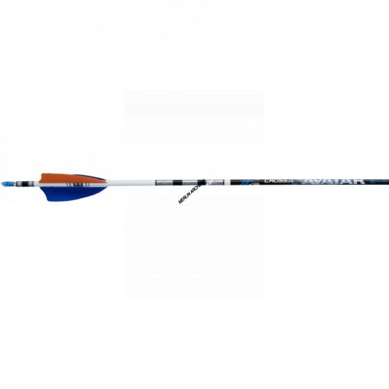 Cross-X Avatar Cube Crested Arrows