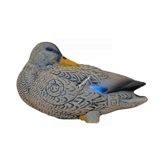 3Di Duck