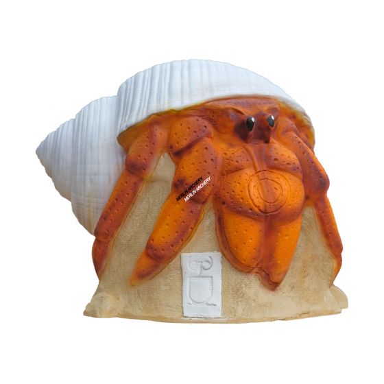3Di Hermit Crab