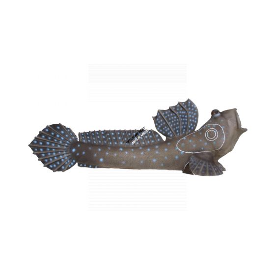 SRT 3D Target - Mud Skipper