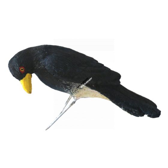 Wildcrete 3D Target - Oxpecker Red/Yellow