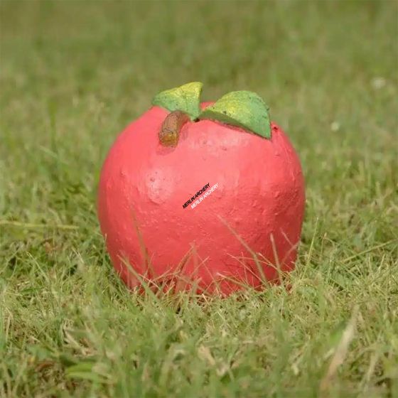 Wildcrete 3D Target - Apple