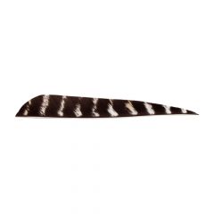 Bearpaw Feathers RW 4" Parabolic - Natural Barred