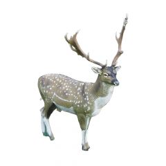 Natur Foam 3D Target - Fallow Deer
