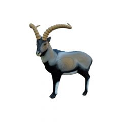 SRT 3D Target - Iberian Ibex