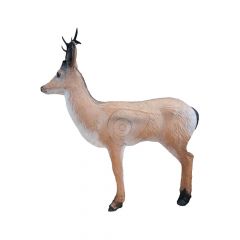 Wildlife 3D Target - Roe Deer Alerted