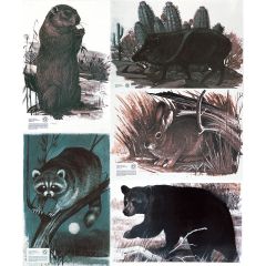 Maple Leaf Authentic Animal Target Faces