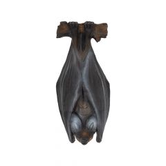 Bearpaw Longlife 3D Target - Flying Fox