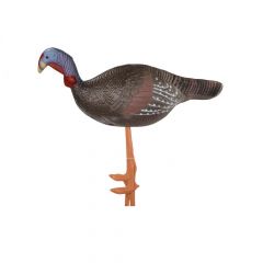 Elong Backyard 3D Target - Large Male Turkey