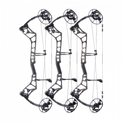 Bear Surpass Compound Bow