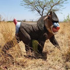 Wildcrete 3D Target - Mandrill
